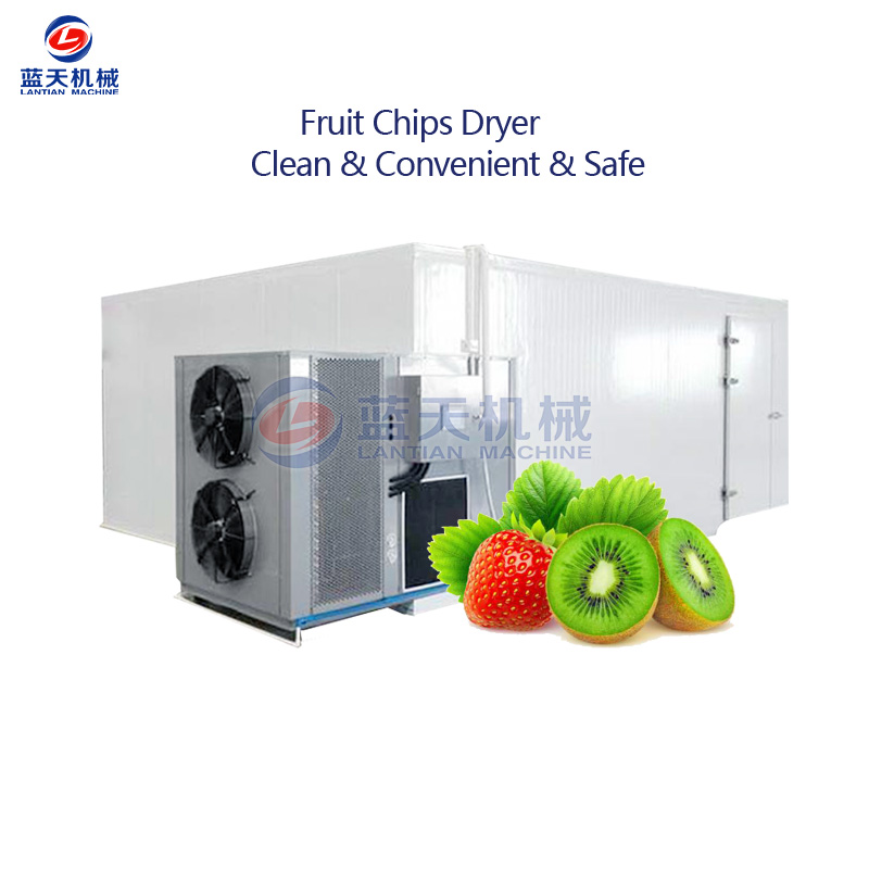 jujube chips dryer