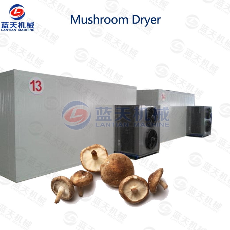 hot air mushroom dryer