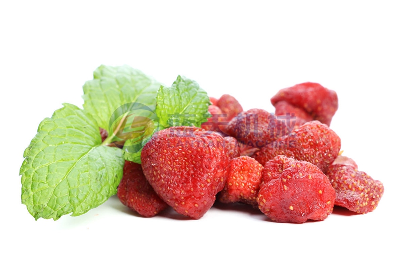 strawberry drying equipment