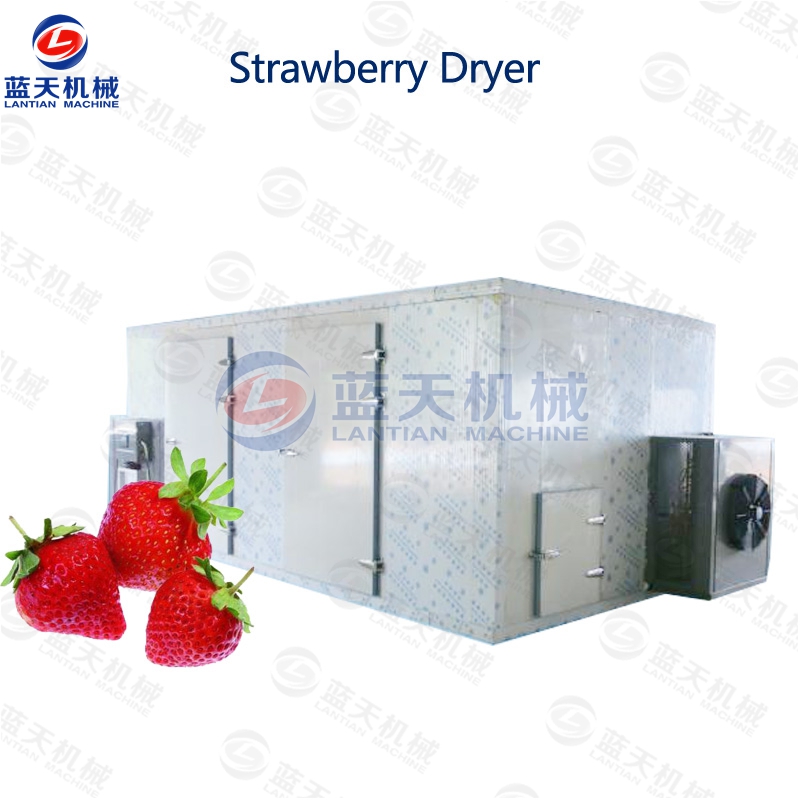 strawberry drying machine