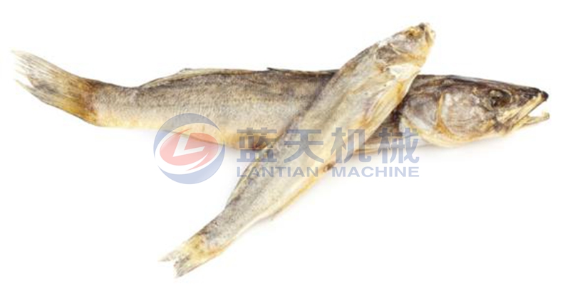 fish drying machine for sale