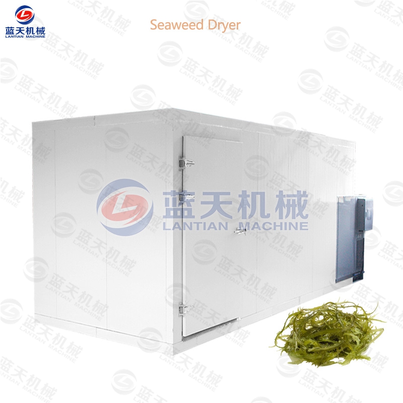 seaweed drying equipment