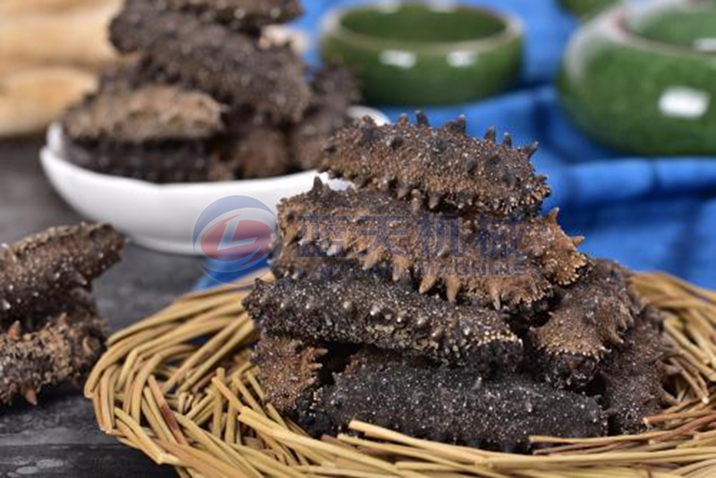 sea cucumber drying equipment