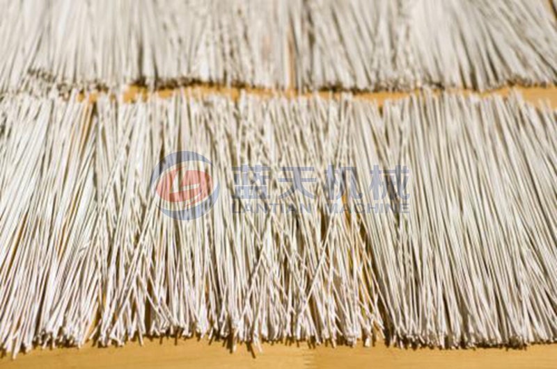 noodles dryer supplier