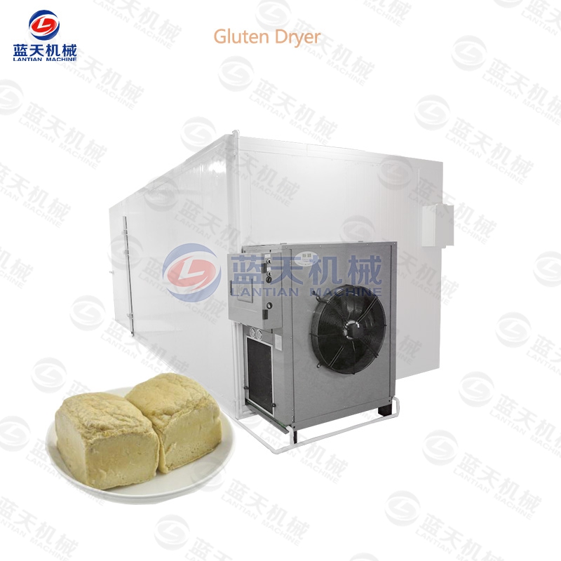 gluten dryer equipment