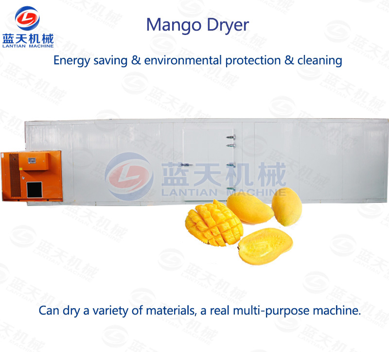 mango pulp drying machine