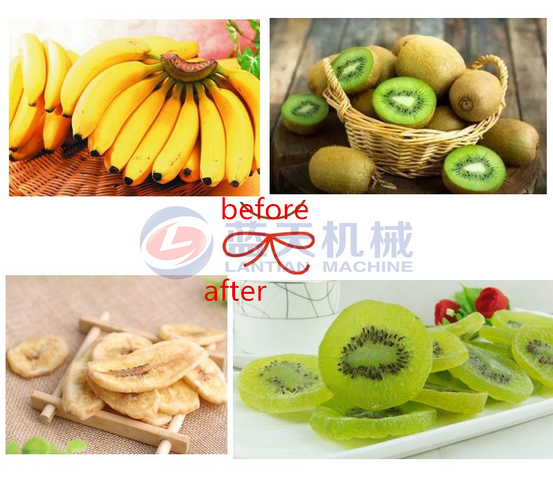 fruit chips dryer machine