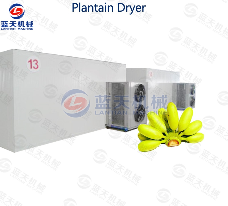 plantain chips dryer