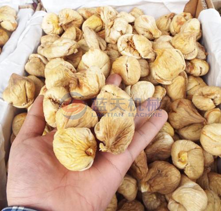 fig dried machine supplier