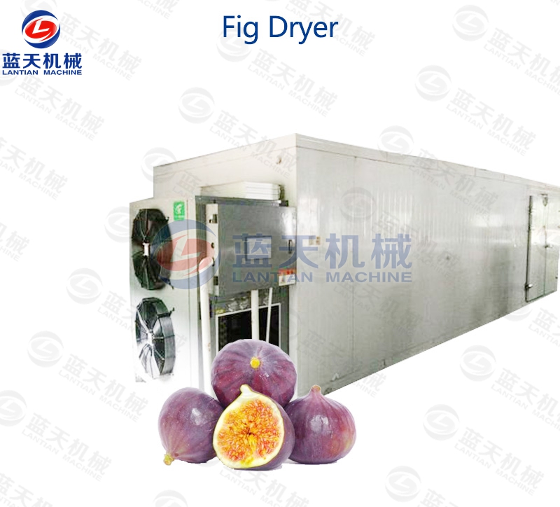 fig drying equipment supplier