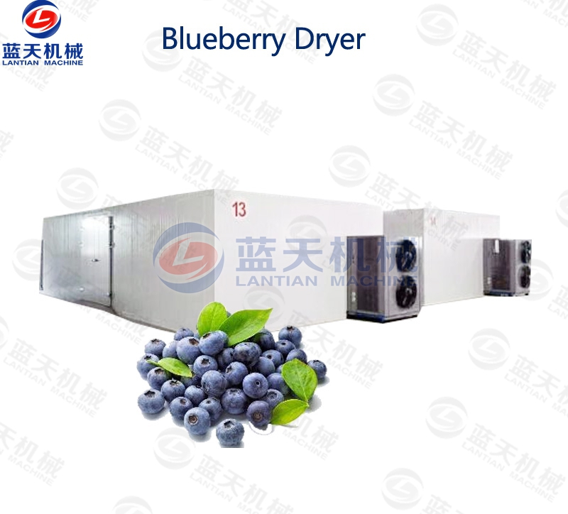 blueberry drying equipment