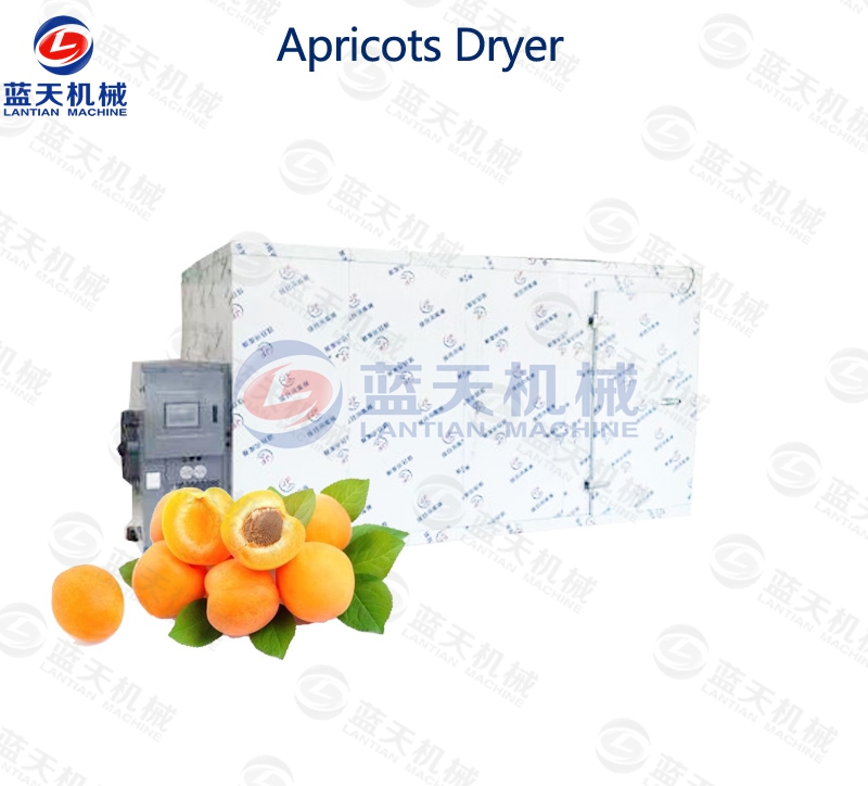 apricots dryer equipments