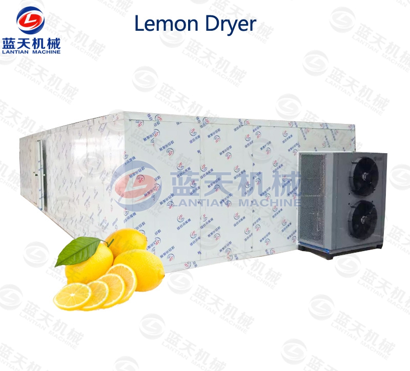 lemon dryer equipment supplier