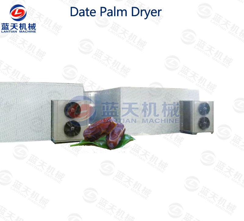 dates palm dryer machine