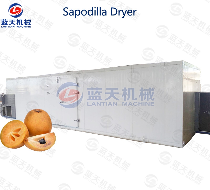 sapodilla dryer equipment