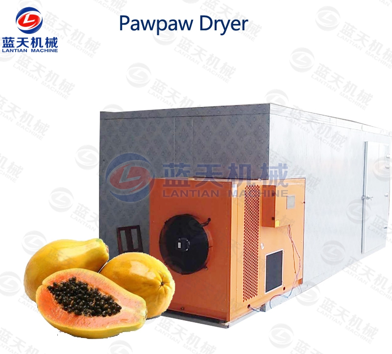 pawpaw drying machine