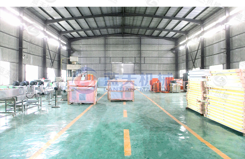 fruit chips dryer supplier