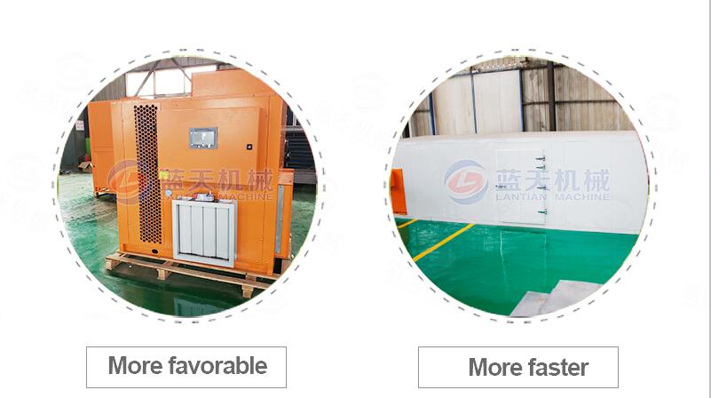 fruit chips dryer advantage display