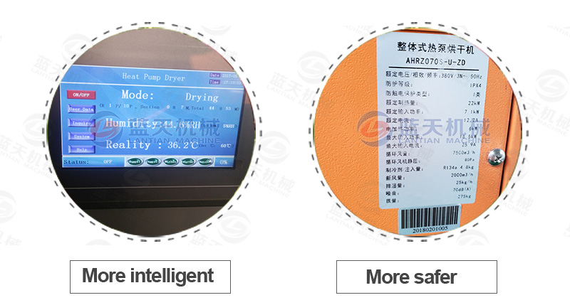 fruit chips dryer advantage display