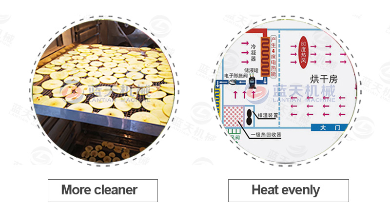 fruit chips dryer advantage display