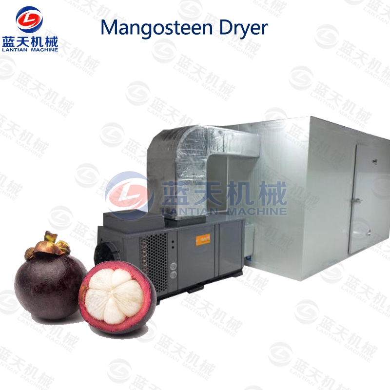 Mangosteen Dryer