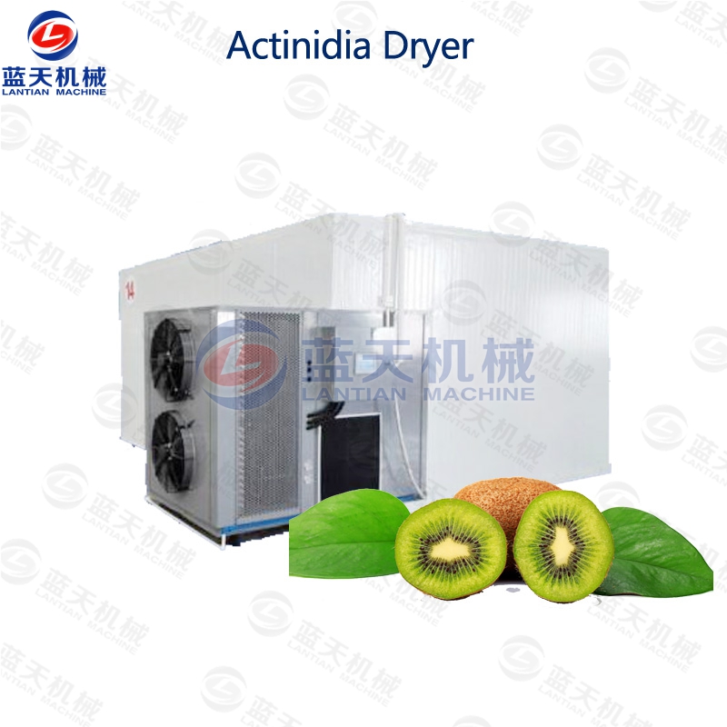 Actinidia dryer