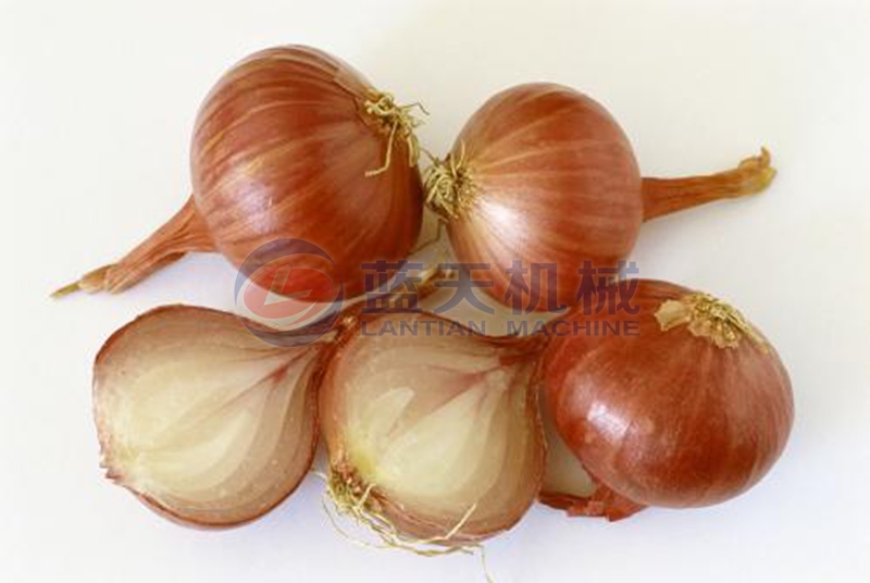 onion dryer drying effect
