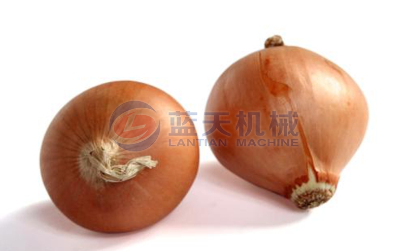 onion dryer drying effect