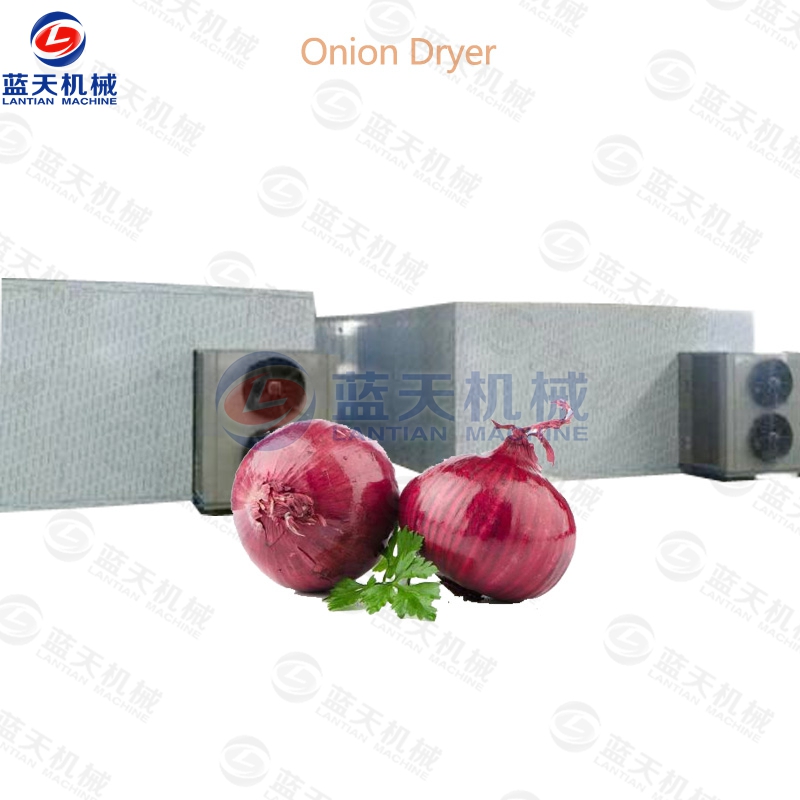 Onion Dryer