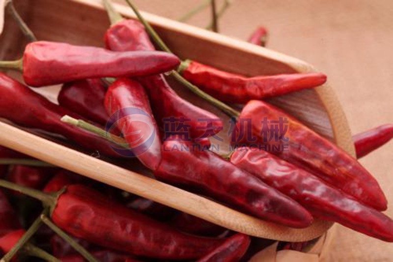 chilli dryer drying effect