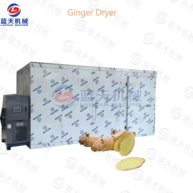 ginger dryer