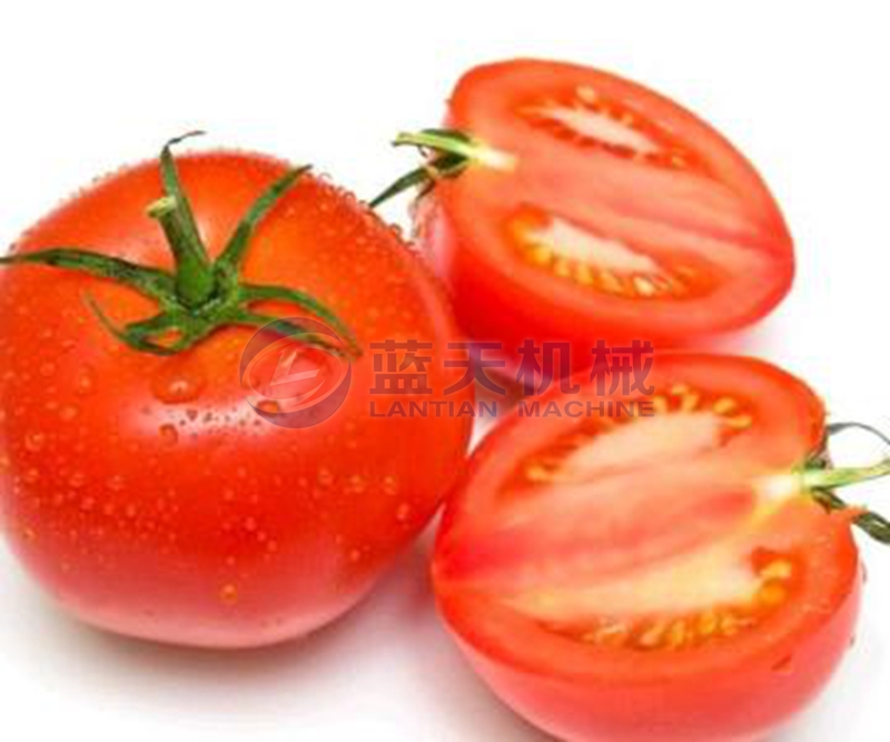 tomato dryer before drying