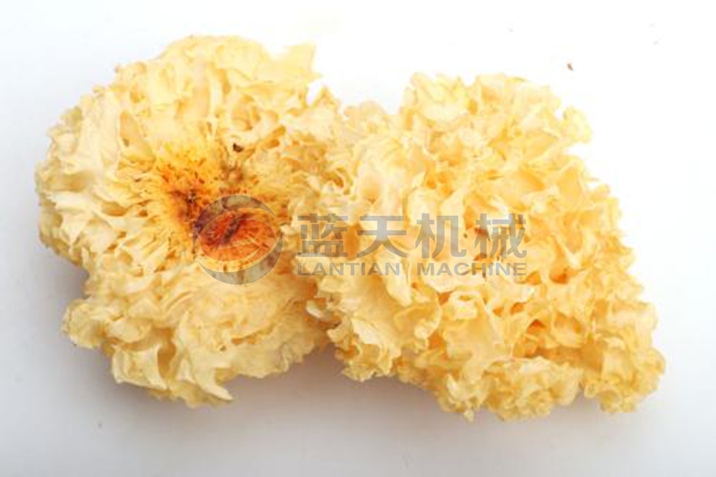 Tremella dryer drying effect