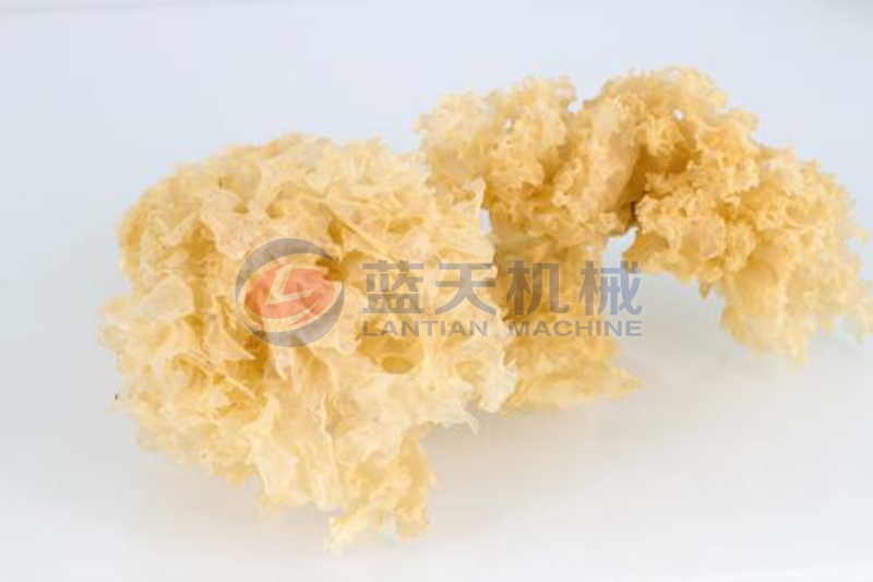 Tremella dryer drying effect