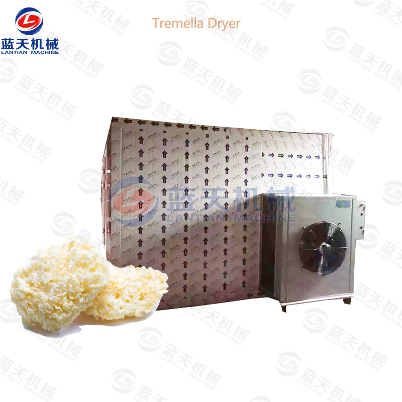 Tremella Dryer