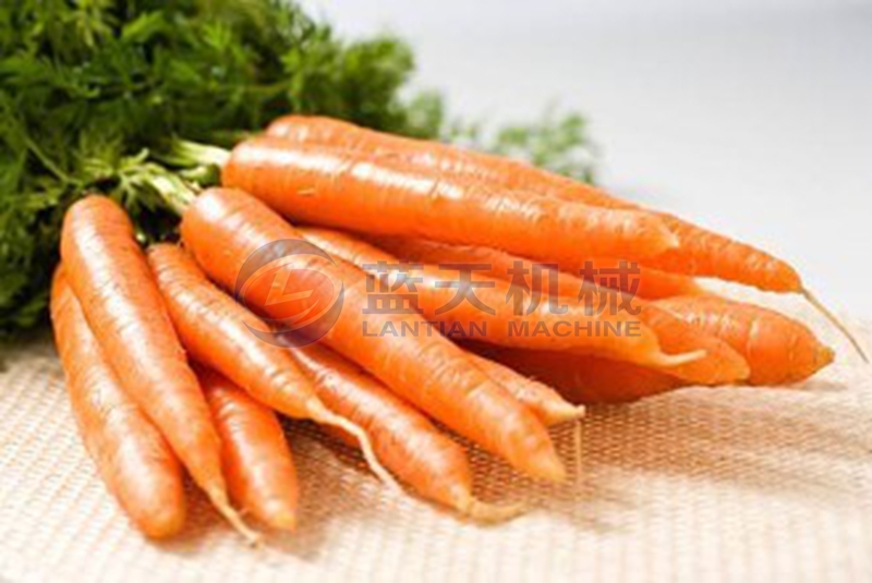 carrot dryer before drying 