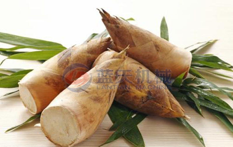 bamboo shoot before drying