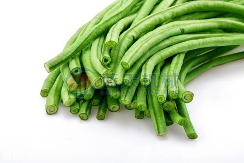 Beans dryer before drying