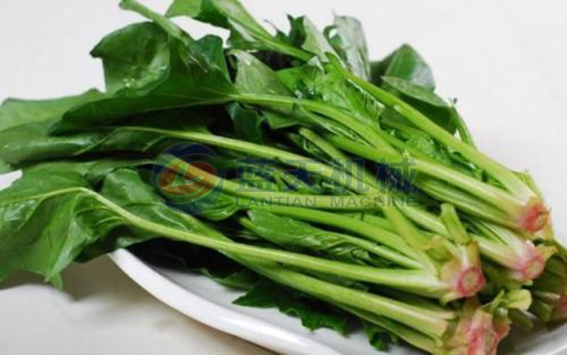 spinach before drying