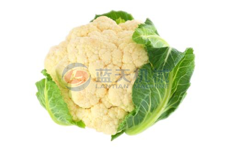 cauliflower before drying