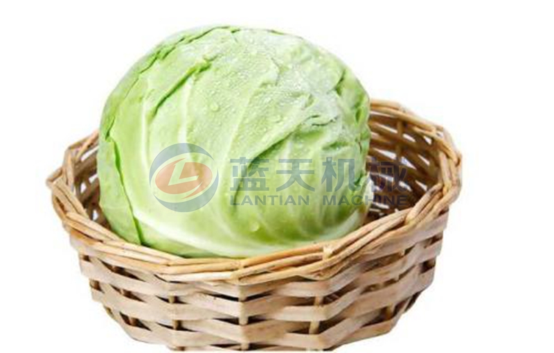 cabbage before drying