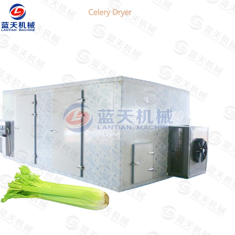 Celery dryer