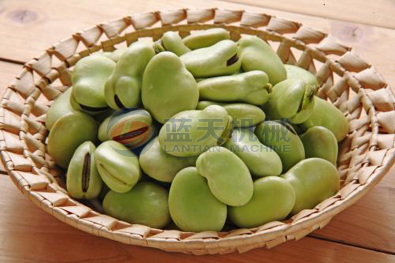 broad bean before drying