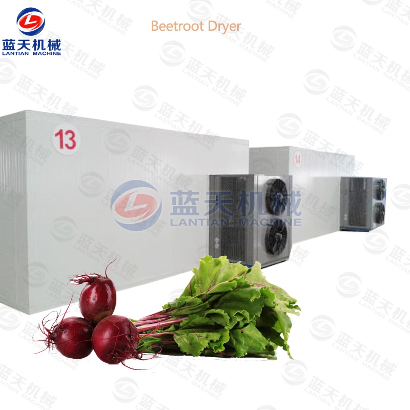 Beetroot Dryer