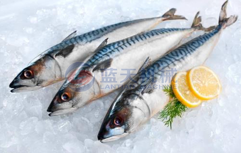 fish before drying