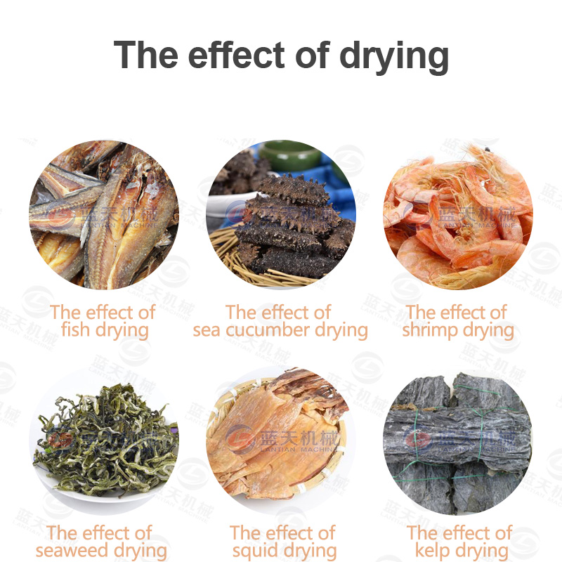 Drying effect of other seafood