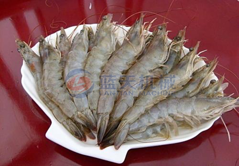 shrimp before drying