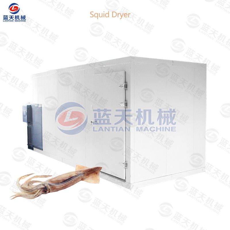 Squid Dryer