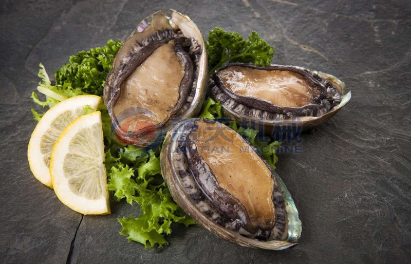 Abalone before drying