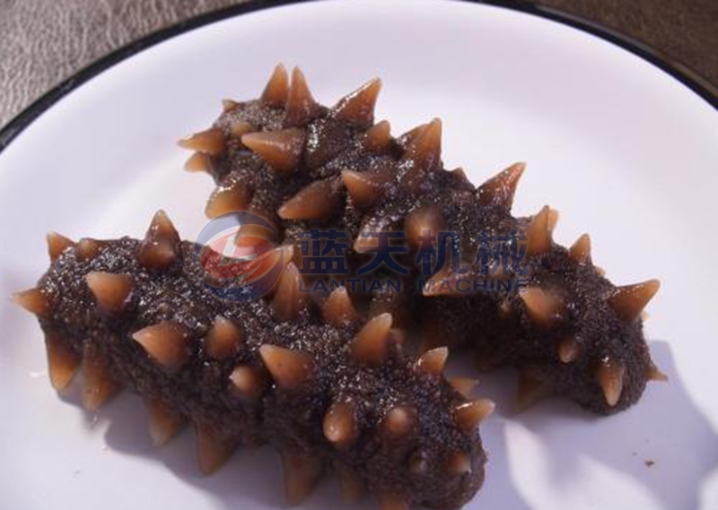 sea cucumber before drying